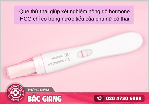 Hướng dẫn cách đọc và sử dụng que thử thai cho kết quả chính xác nhất