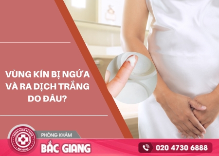 Vùng kín bị ngứa và có dịch trắng xảy ra do nhiều nguyên nhân khác nhau. vùng kín bị ngứa và có dịch trắng